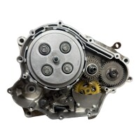 Rumpfmotor Beta RR125 Yamaha WR125 YZF-125