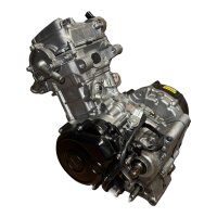 Motor Fantic Caballero XEF XMF 125 Bj. 2019-2025