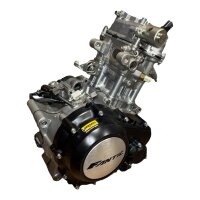 Motor Fantic Caballero XEF XMF 125 Bj. 2019-2025